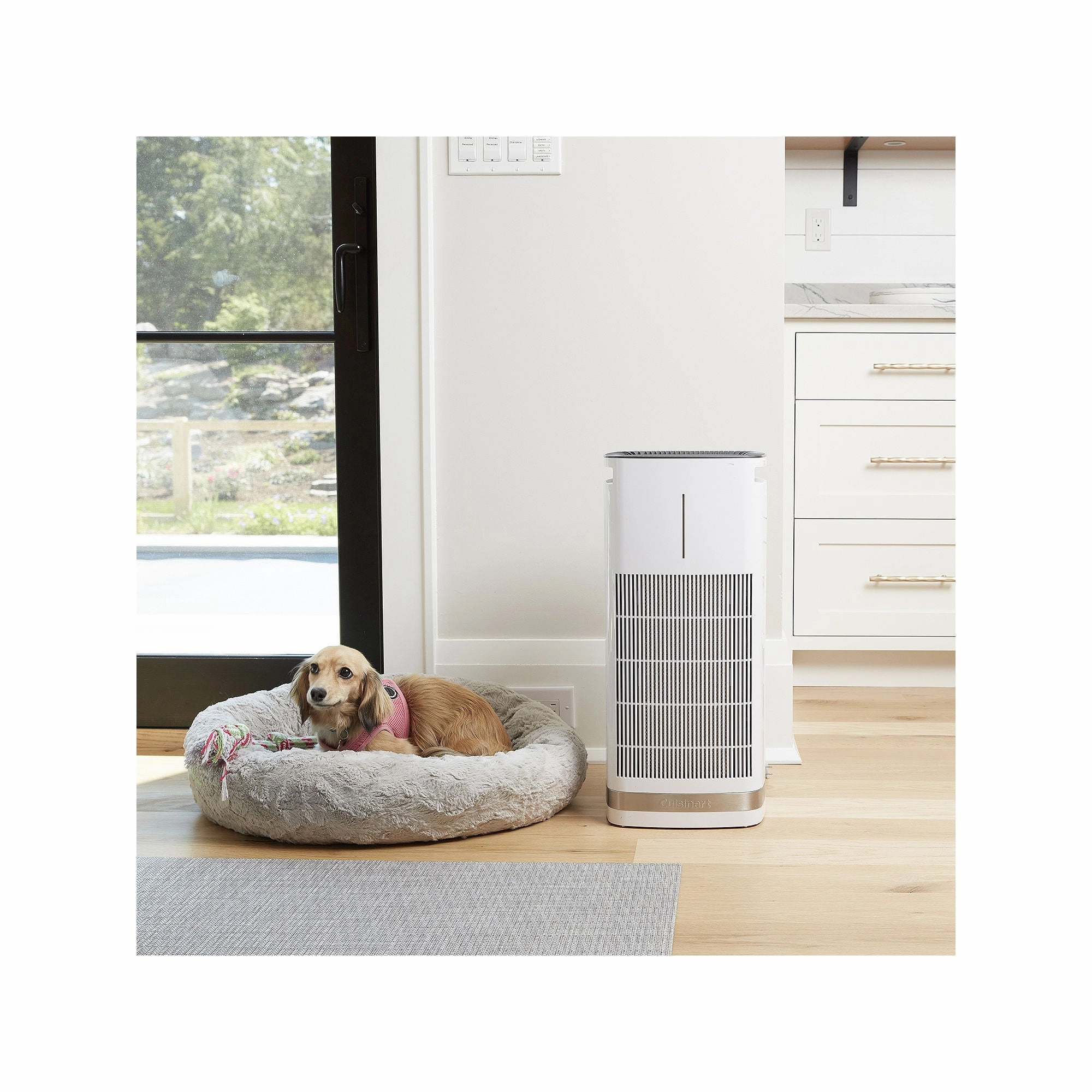 Cuisinart CAP-1000 PuRXium H13 HEPA Large Room Freestanding Air Purifier, White